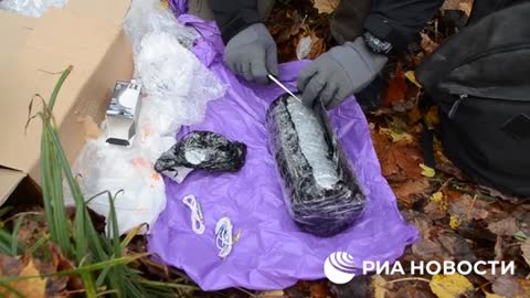 FSB thwarts Ukrainian terrorist who arrived from Kyiv via Estonia