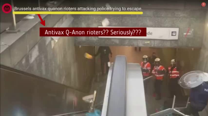 What REALLY happened in Brussels