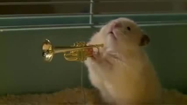 Hamsters are homemade! Funny musical duo