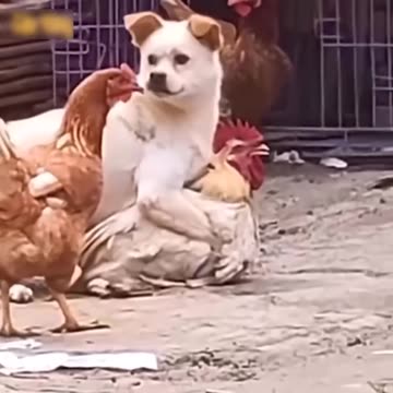 It's clear who wins and who loses