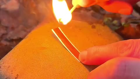 Survival tips 😳🔥
