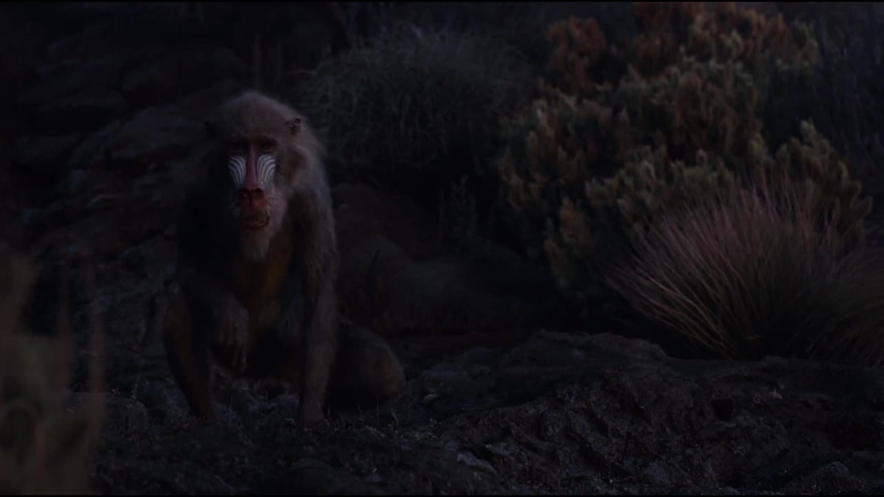 Reflections of Mufasa _ The Lion King (2019)