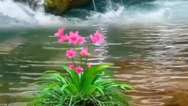 It's simply a fairyland on earth.
