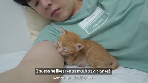 a Cute Way for a Kitten to Maintain its Temperature