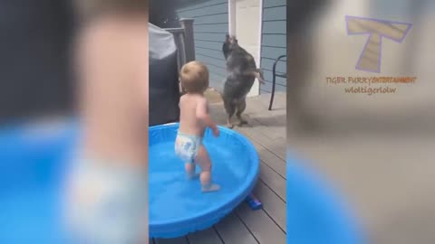 FUN CHALLENGE: Try NOT to laugh - Funny & cute dogs and kids