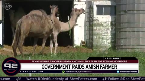 Zionist controlled Government raid Amish Organic Farm.
