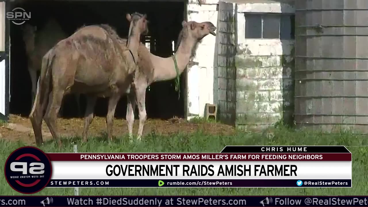 Zionist controlled Government raid Amish Organic Farm.
