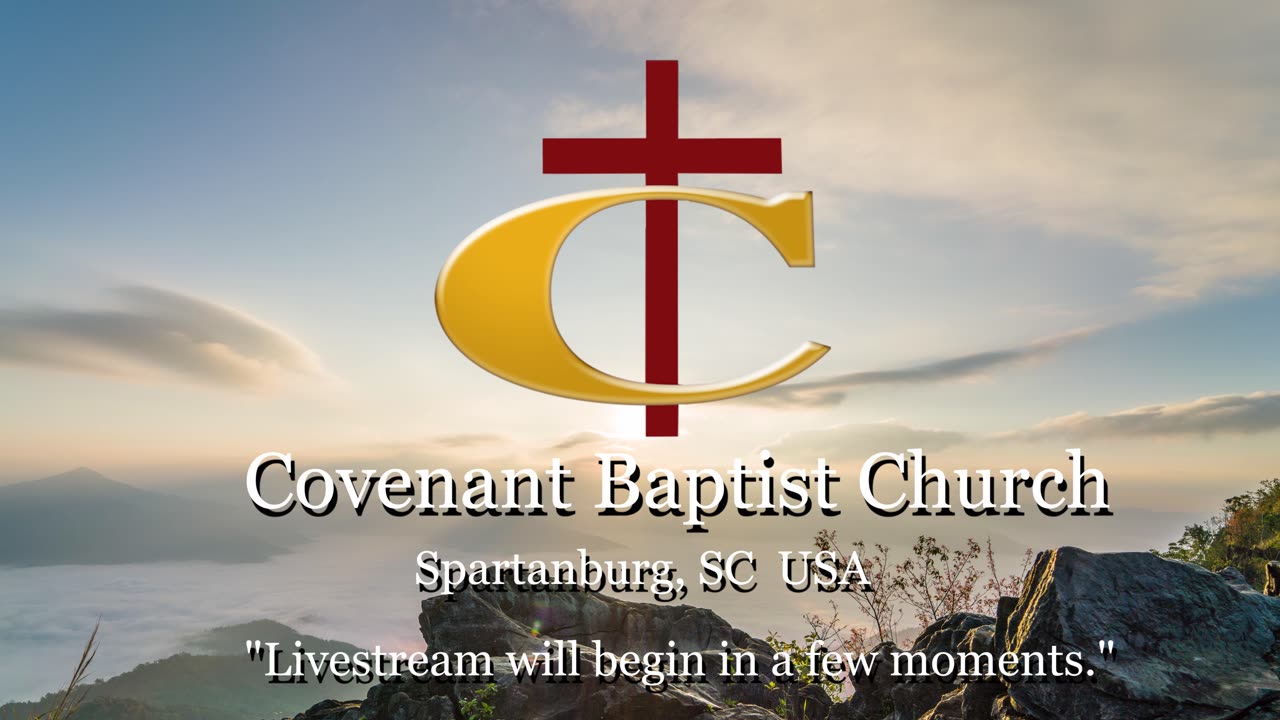 The Wisdom of Insects and Animals