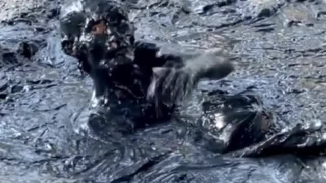 The drunk man who fell asleep in the mud looks horrible