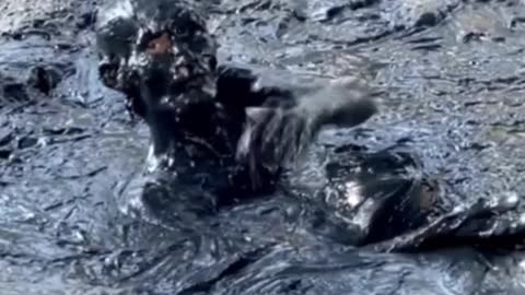 The drunk man who fell asleep in the mud looks horrible