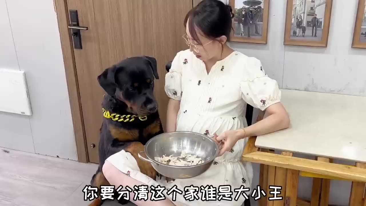 I enjoy watching my dog look angry and helpless