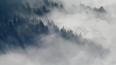 ANETA ZINKIEWICZ - Transformacja poprzez Was