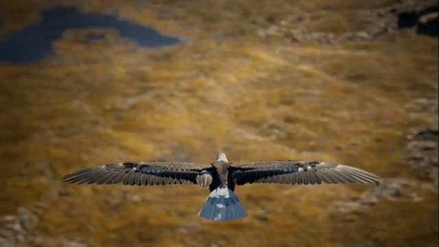 Bridge water Triangle Paranormal Vortex Official Trailer