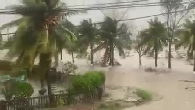 Hurricane Lisa flooding Buttonwood