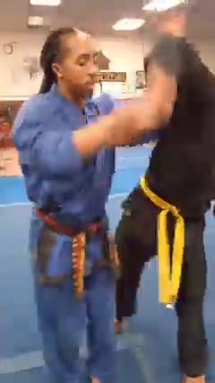 Hapkido