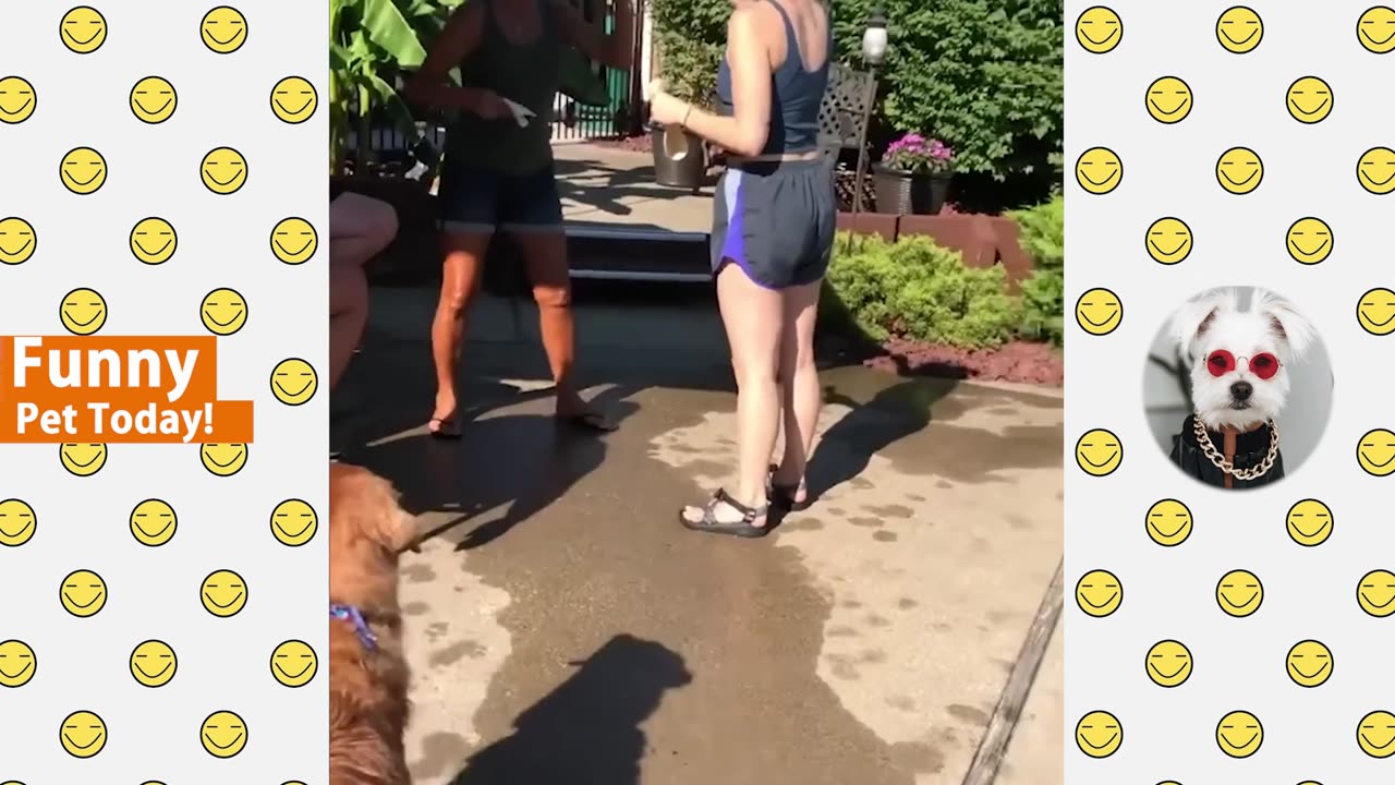 Best and funniest animal videos of 2023 ( Compilation #2 ) Sit back and relax