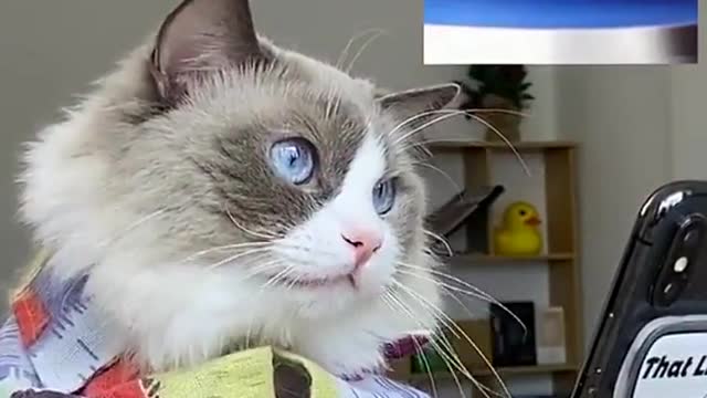 I guess you don’t always fail lol