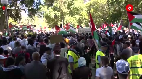 Israel-Hamas War Day 9: International Developments, UN Resolution, Pro-Palestine Rally, and More