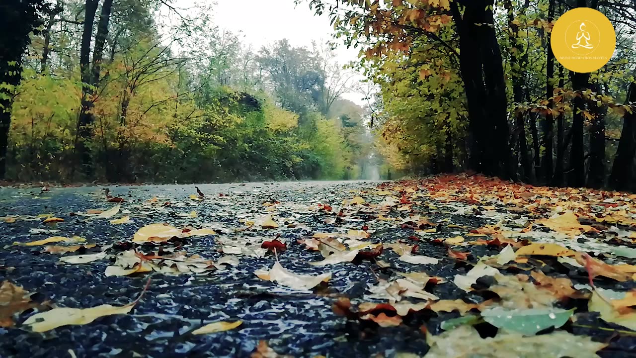 Emotional & Romantic | Rain Relaxing Sound | Help in Focus & Relax your Mind