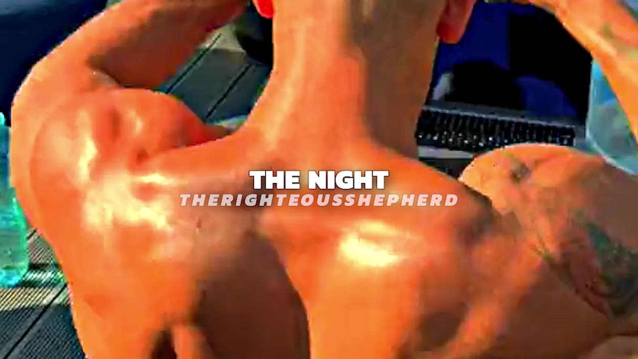 TATE'S CRAZY Daily Routine