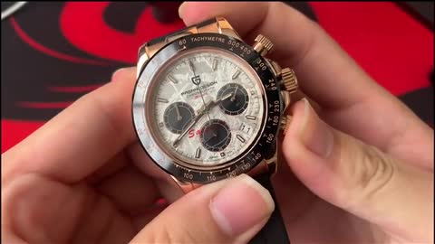 PAGANI Design 2021 New Men's Sports Quartz Watches Top Brand Sapphire Stainless Steel 100m Waterproo