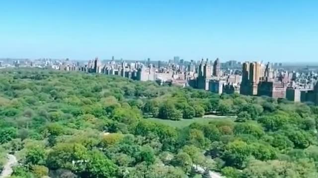 Isn't it shocking to overlook the largest central park in the world?