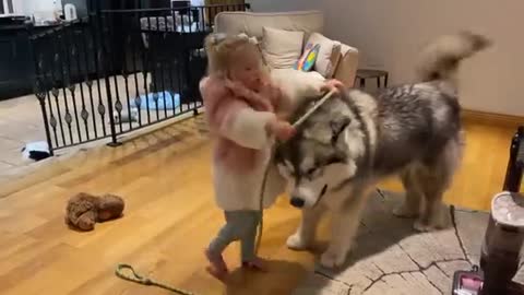 Adorable Baby Girl Walks Her Giant Puppy! He's So Well Behaved! (So Cute!!)