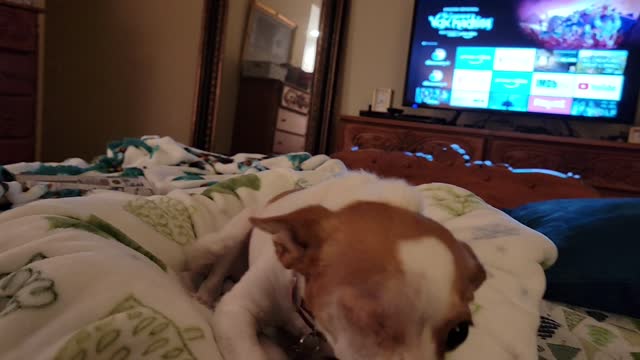 ExecHQ's Mascot Dottie and the "Full" Glass