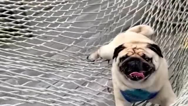 I'm not gonna leave here and let you tow me