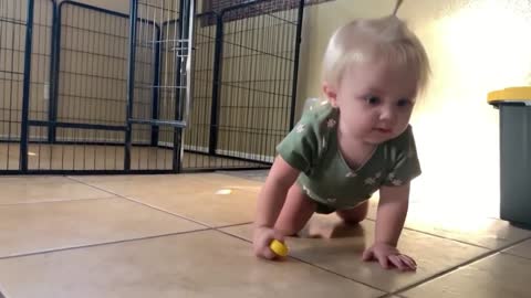 🤣 Funniest Kids & Animals Awesome Funny Pet Animals Videos 😇 - 6