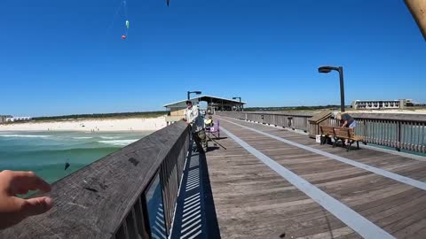 Saltwater PIER FISHING with Shrimp!