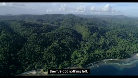 Tanah Papua: A Paradise for Birds