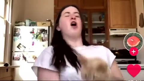 BASED Cat Smacks Owner for Pronoun Nonsense