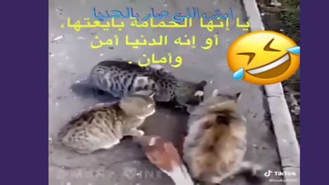 😅