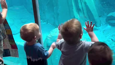 Zoo Water