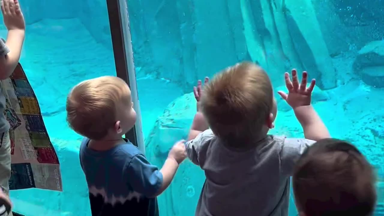 Zoo Water