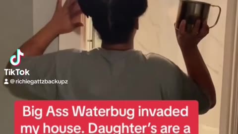 Wait hold up did she just throw water at a water bug???