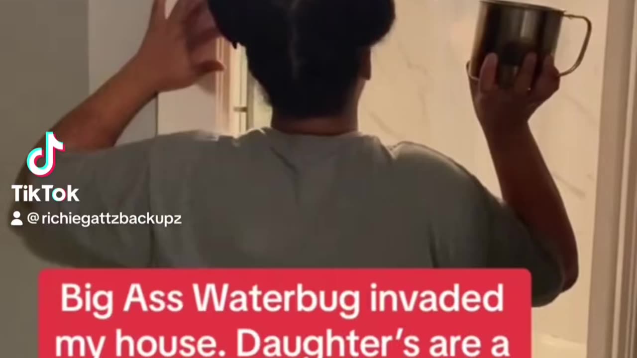 Wait hold up did she just throw water at a water bug???