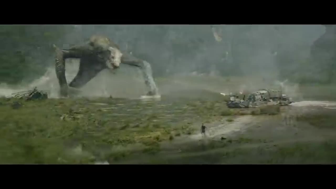 Dragon vs king Kong fighting video