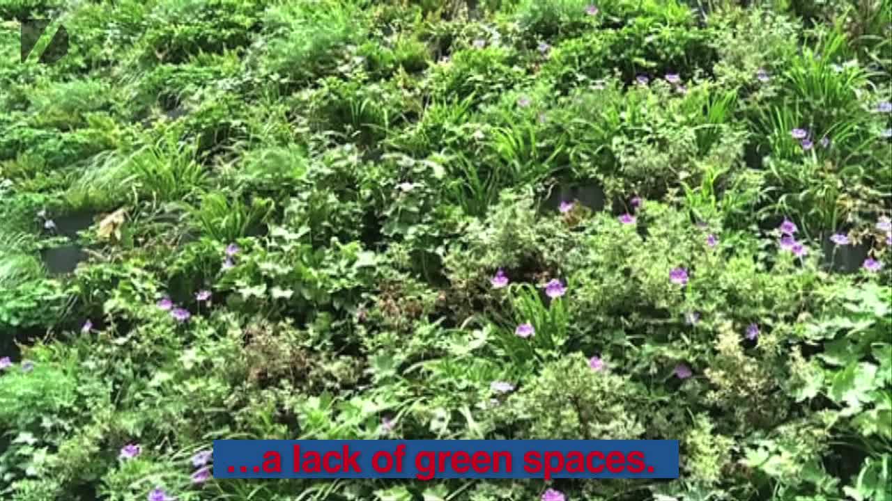 Apartments With Living Walls