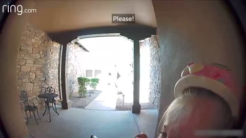 Taylor Talks to Her Neighbor On Ring Video Doorbell After Running Away From a Bobcat