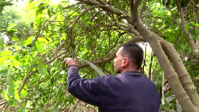 Gazans take Hebrew classes to get Israeli permits