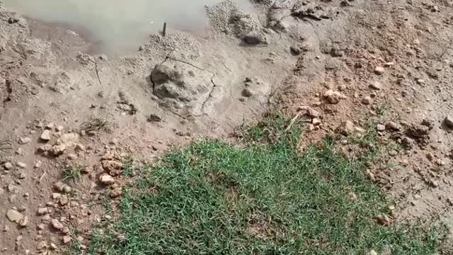 नवादा जिला के मेसकौर पंचायत के पथरा गांव में रोड की समस्या से लोग जूझ रहे हैं रोड नहीं तो वोट नहीं