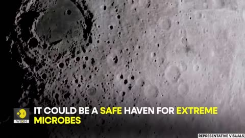 A NASA researcher acknowledges that there "might already be life on the Moon" | WION Originals