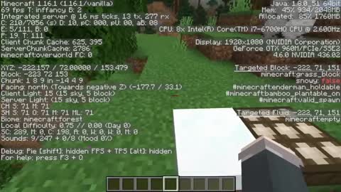 Minecraft. wierd game