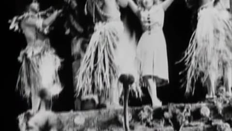 Animales de pelicula - King kong - Documental