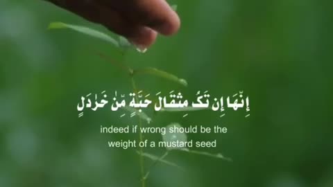 Quran Recitation Whatsapp Status Video Download , Full Screen_4