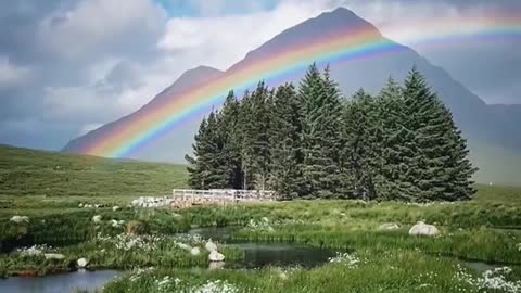 A stunning rainbow in an iconic Highland setting - a match made in Scotland!