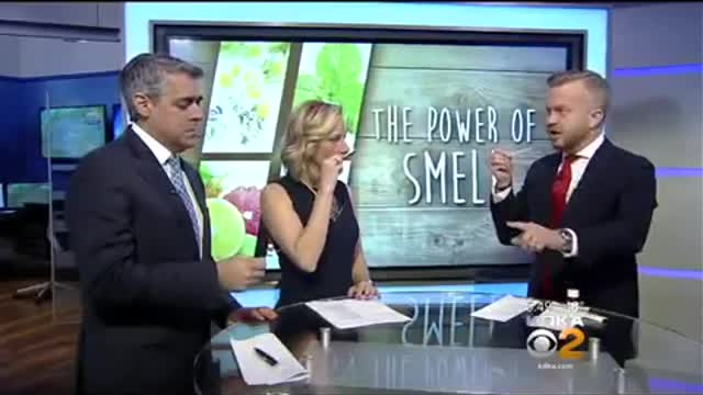 Alpha Aromatics Proving Smell Can Be A Powerful Sensation