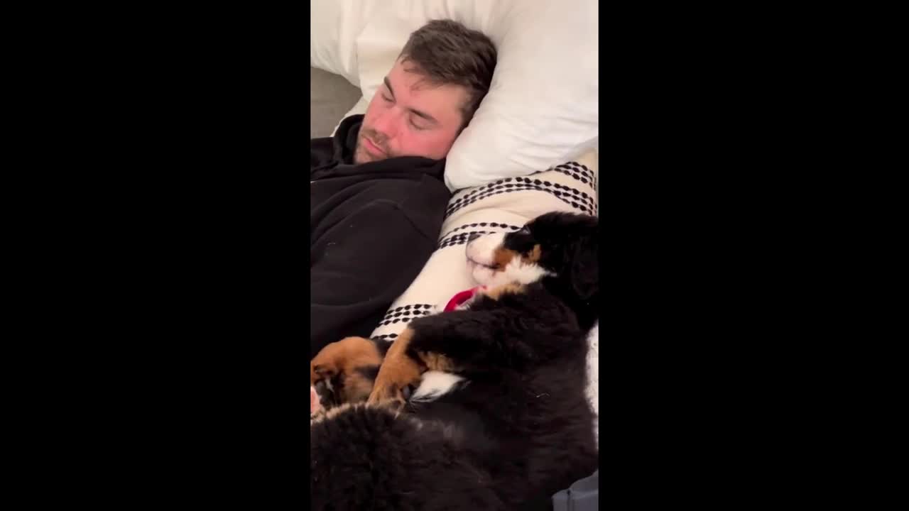 Pup watches owner sleep with the cutest puppy eye